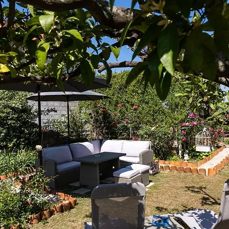 Falkoni Appartement *